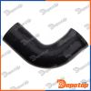Gaine de suralimentation pour RENAULT | GPP-RE-154, 12321